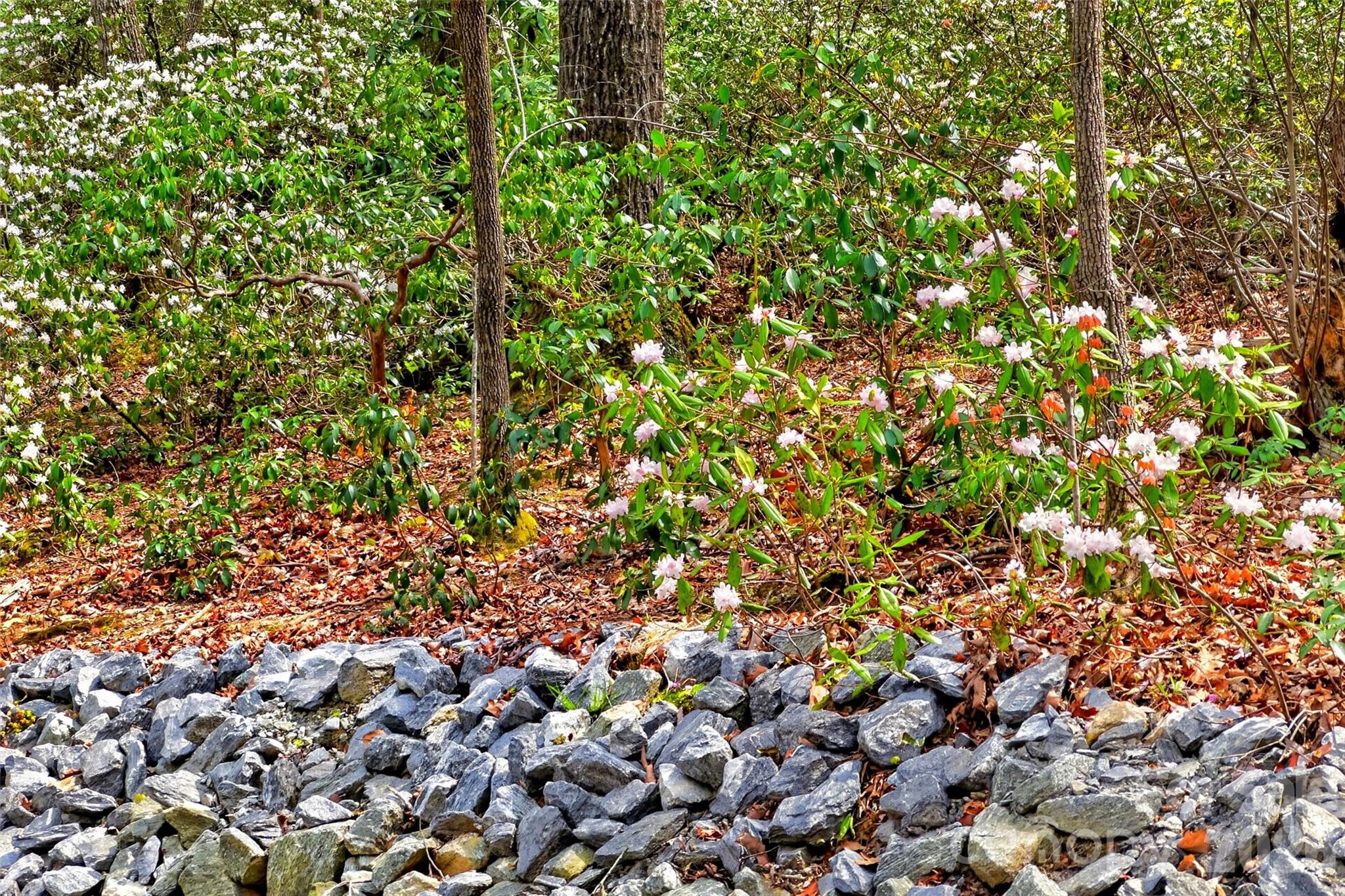 Jacks Mountain Preserve - Residential