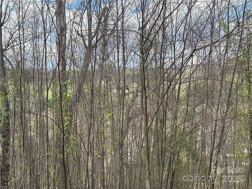 Lovely homesite and fantastic view potential with some tree clearing.  This homesite offers a breathtaking panoramic views of the community and the surrounding mountains with partial golf course and long range views. Great spot for a house plan with a walk-out lower level! Jefferson Landing, a gated golf community, w/ 18 hole course, pool/fitness center, pickleball /tennis courts and Riverside Park, adjoining the New River. Coming this spring: Himalayan style putting course & seven par 3 practice holes. $1000 Capital Improvement pd to the JL POA, by the buyer at closing.