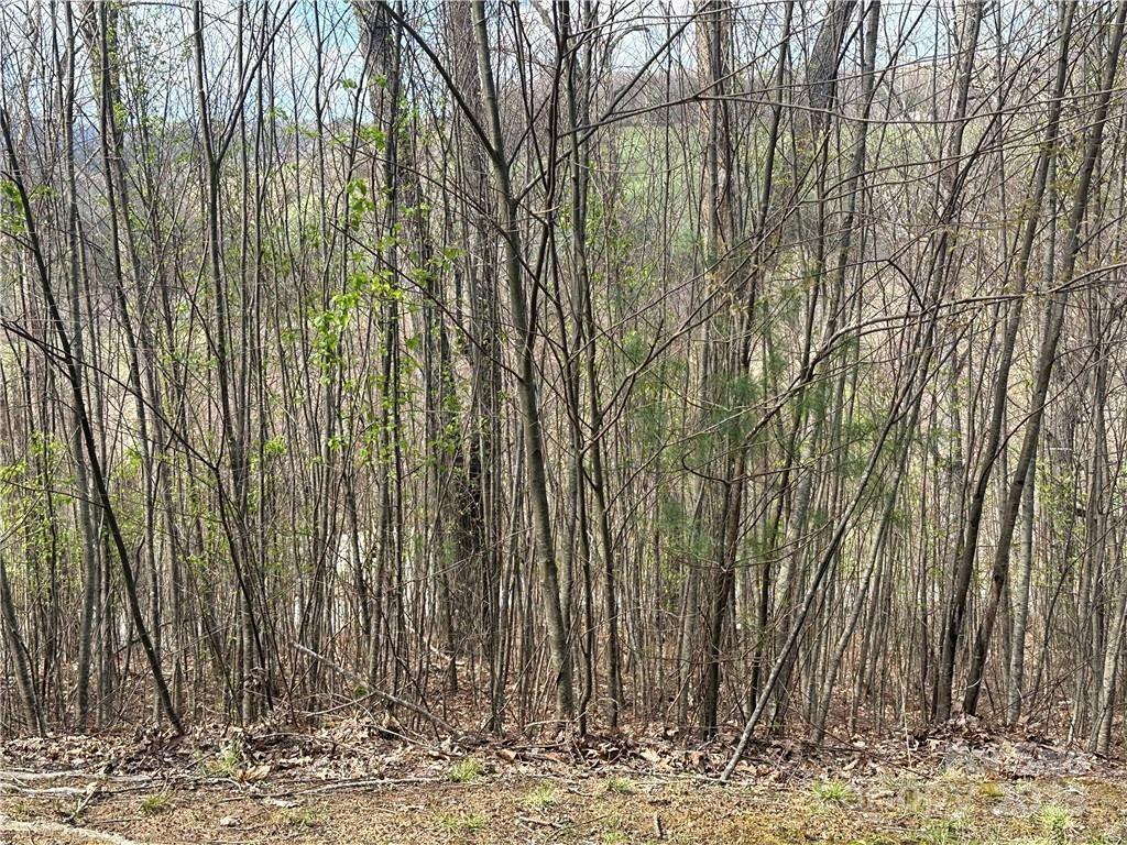 TBD E Landing Ridge 24