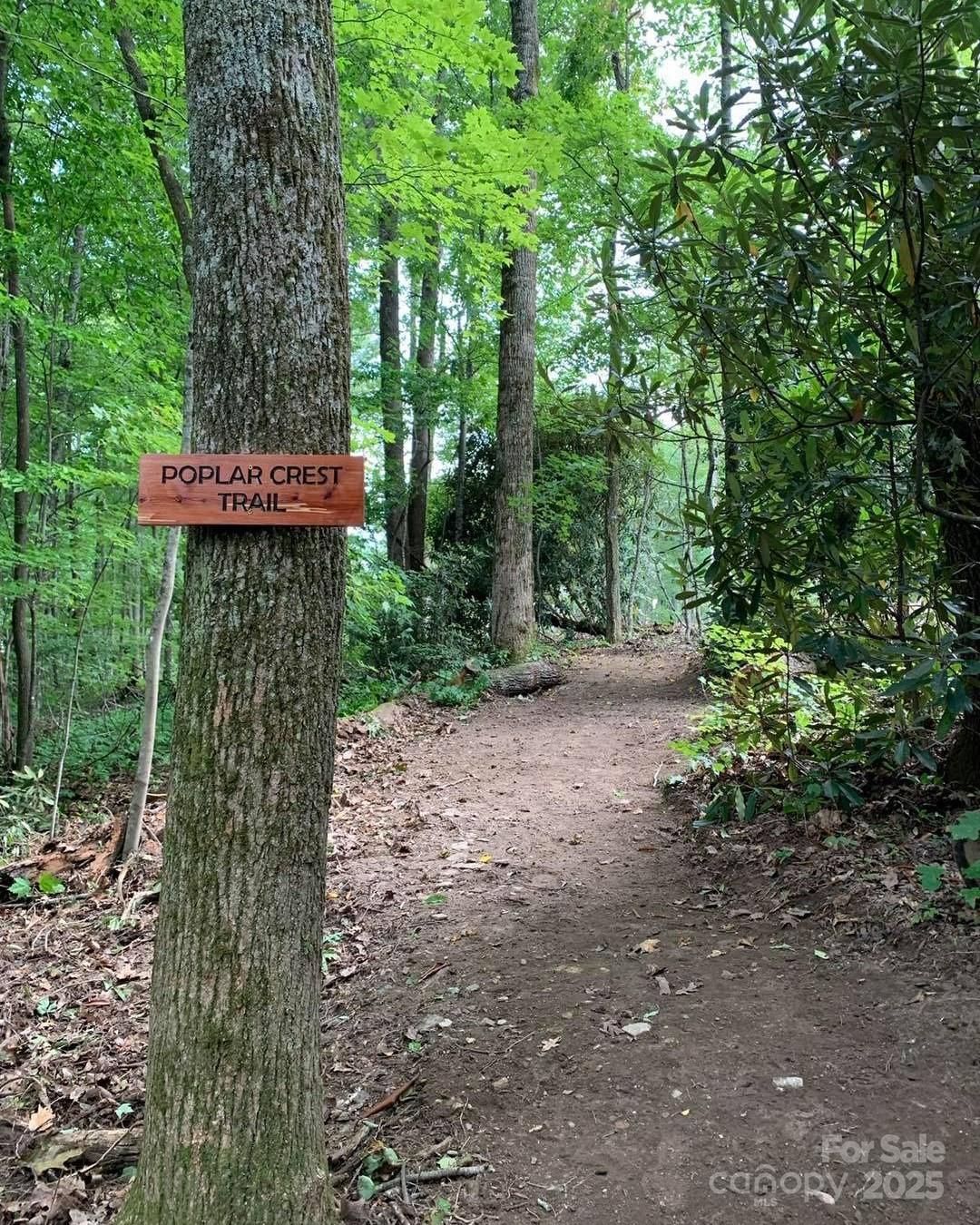 Couch Mountain - Land