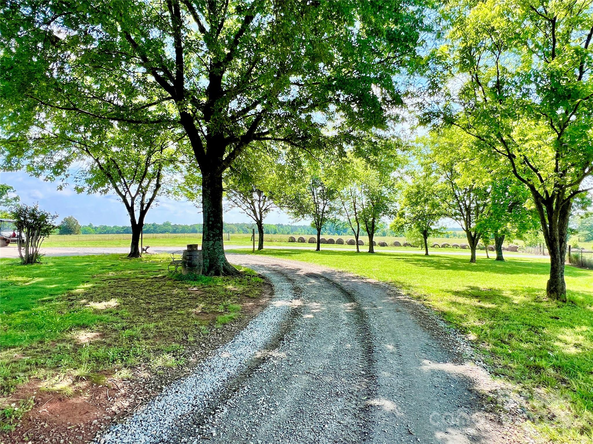 333 Lambs Grill Road
