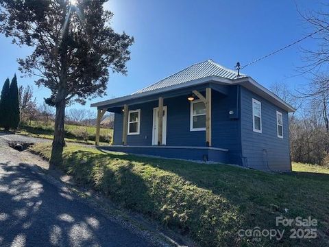 1224 Phillipsville Loop Canton NC 28716