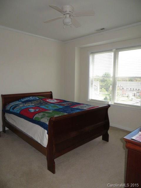 Palmetto Traces - Residential