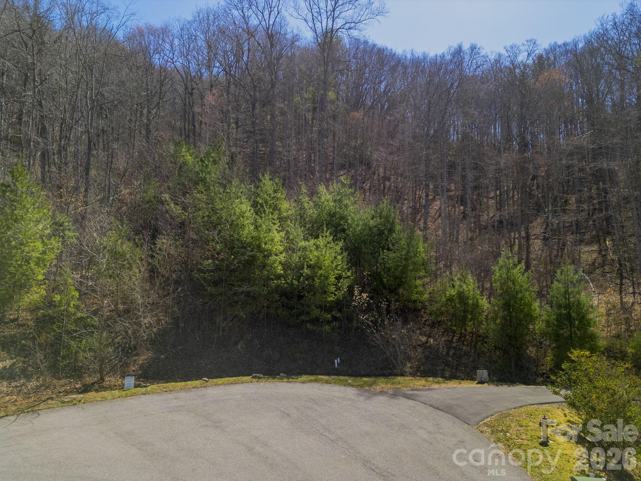 Town Mountain Preserve - Land