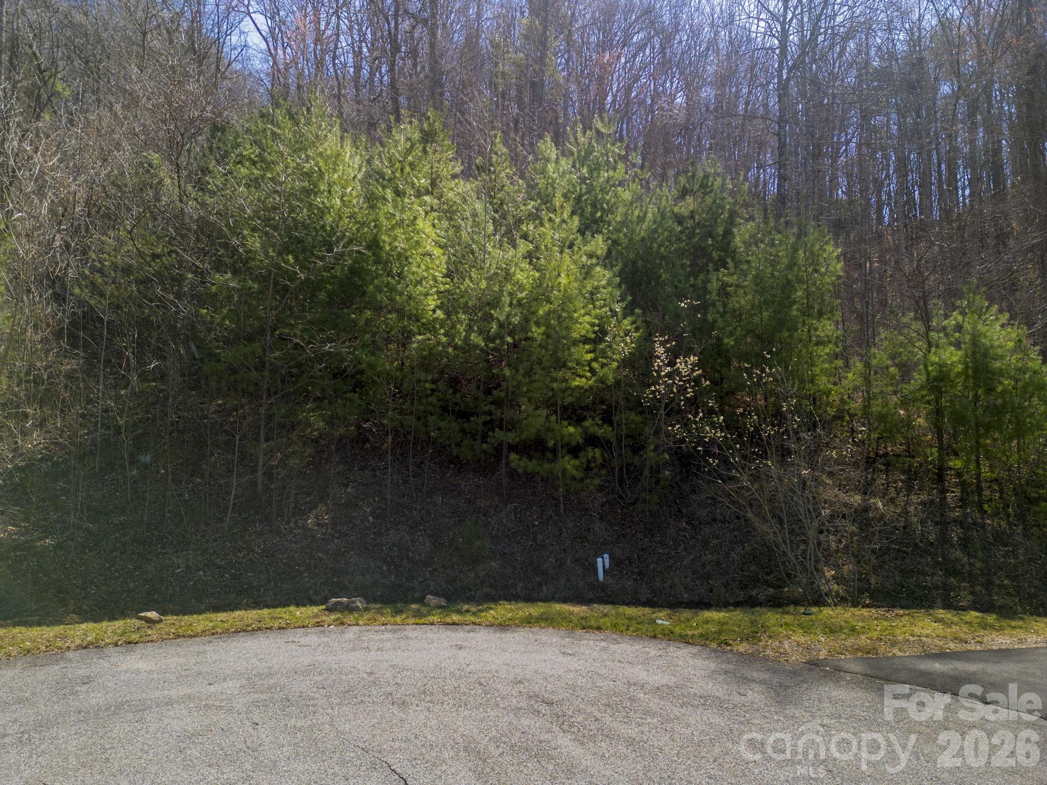 Town Mountain Preserve - Land