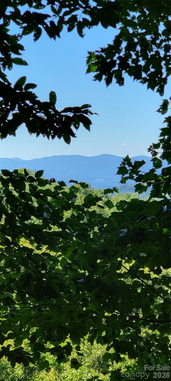 Town Mountain Preserve - Land