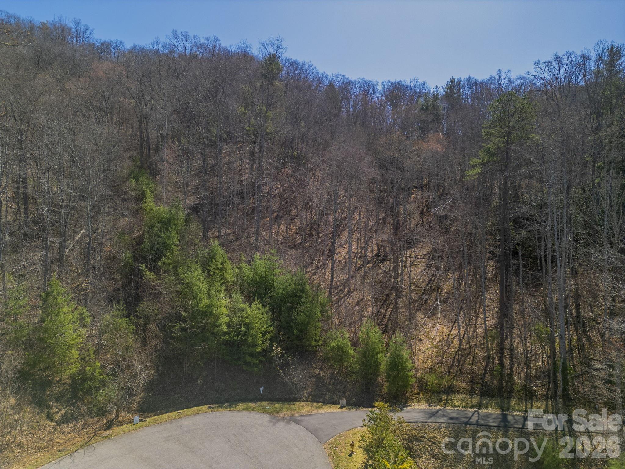 Town Mountain Preserve - Land