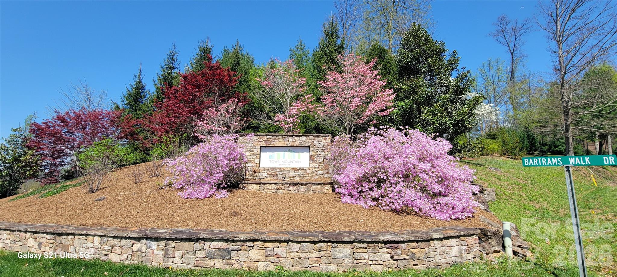 11 Franklin Trace Drive 15