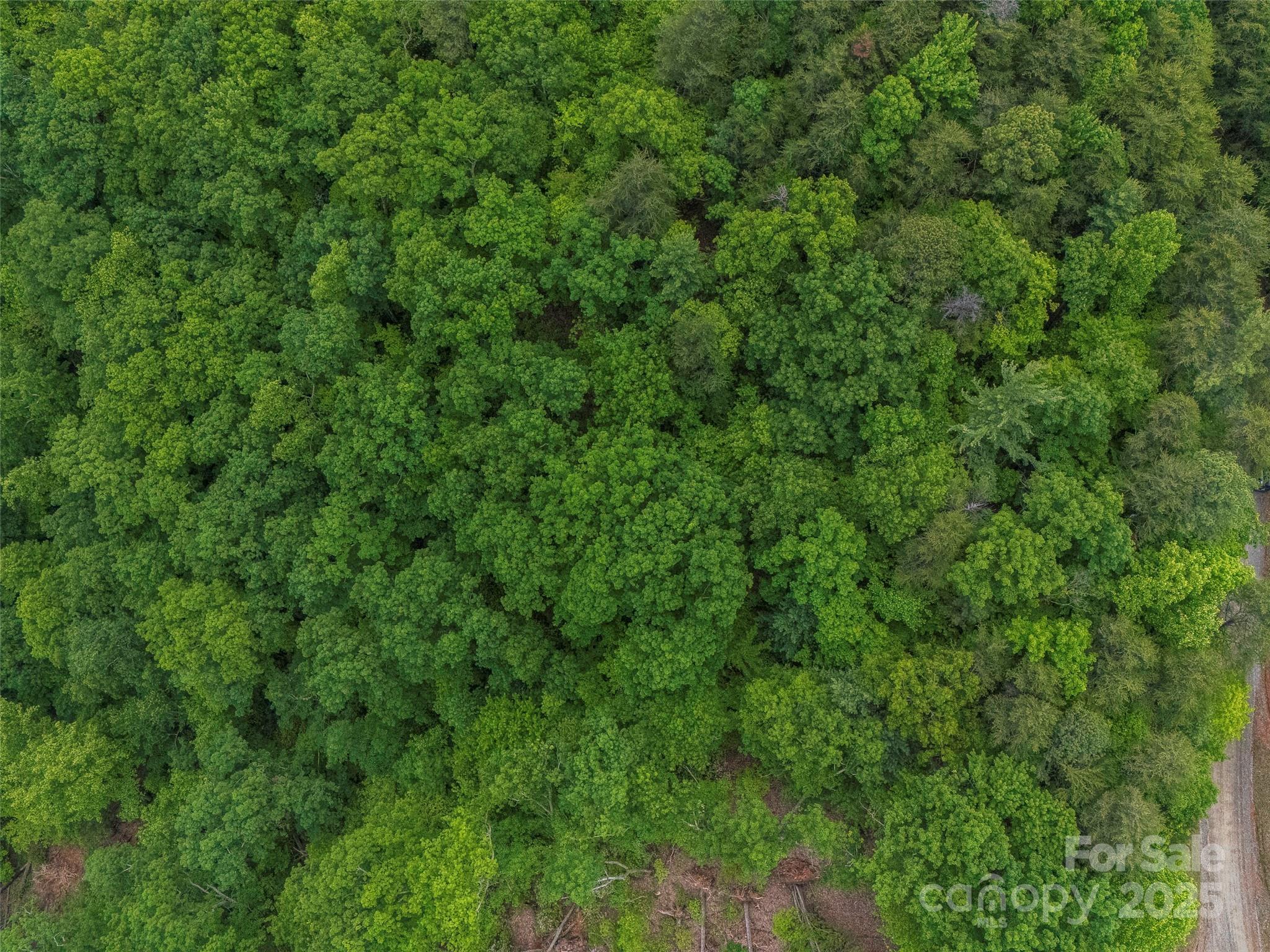 6.48 acres Pinnacle Parkway 20