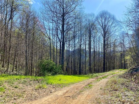 000 Grapevine Road Marshall NC 28753