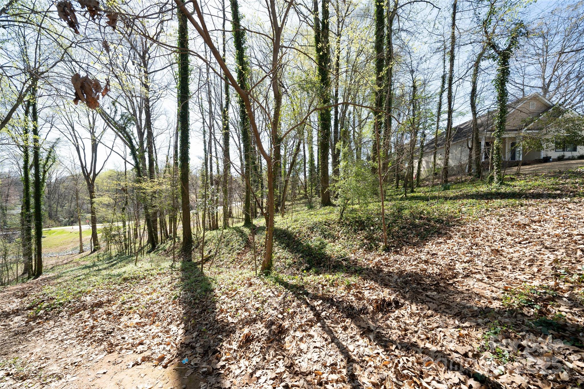 534 Pierson Drive