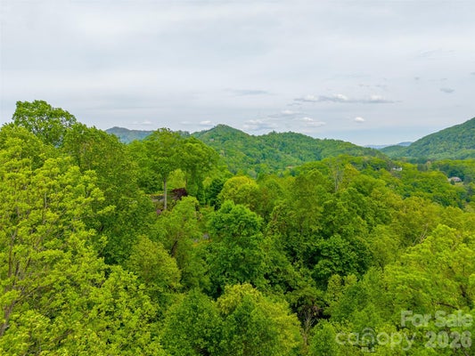 104 CAMPBELL MOUNTAIN DR, WAYNESVILLE, NC 28785 - Image acf65c3fa76138fcfc015b1017f3d76a/1126333571