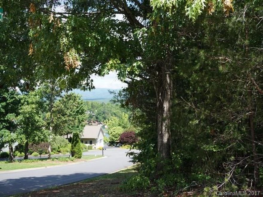 LEVEL interior lot w Mountain & Lake Views in East Shores. Easy building lot for walk out basement . Perfect for full time residence or vacation home.Located just steps from deeded boat slip #7, community swimming pool & tennis court. City water available & septic needed . Minimal community restrictions w 1 story min sq ft requirement of 1400 sq ft & for walk out basement 1800 square feet minimum w 1000 square feet on main. Only 20 min. to downtown Morganton for shopping,dining, entertainment
