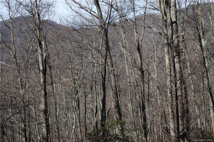 +/- 72.73 acres with privacy and year round views. Beautiful year round views in the rustic, Madison County mountains. Agent is a relative of sellers.