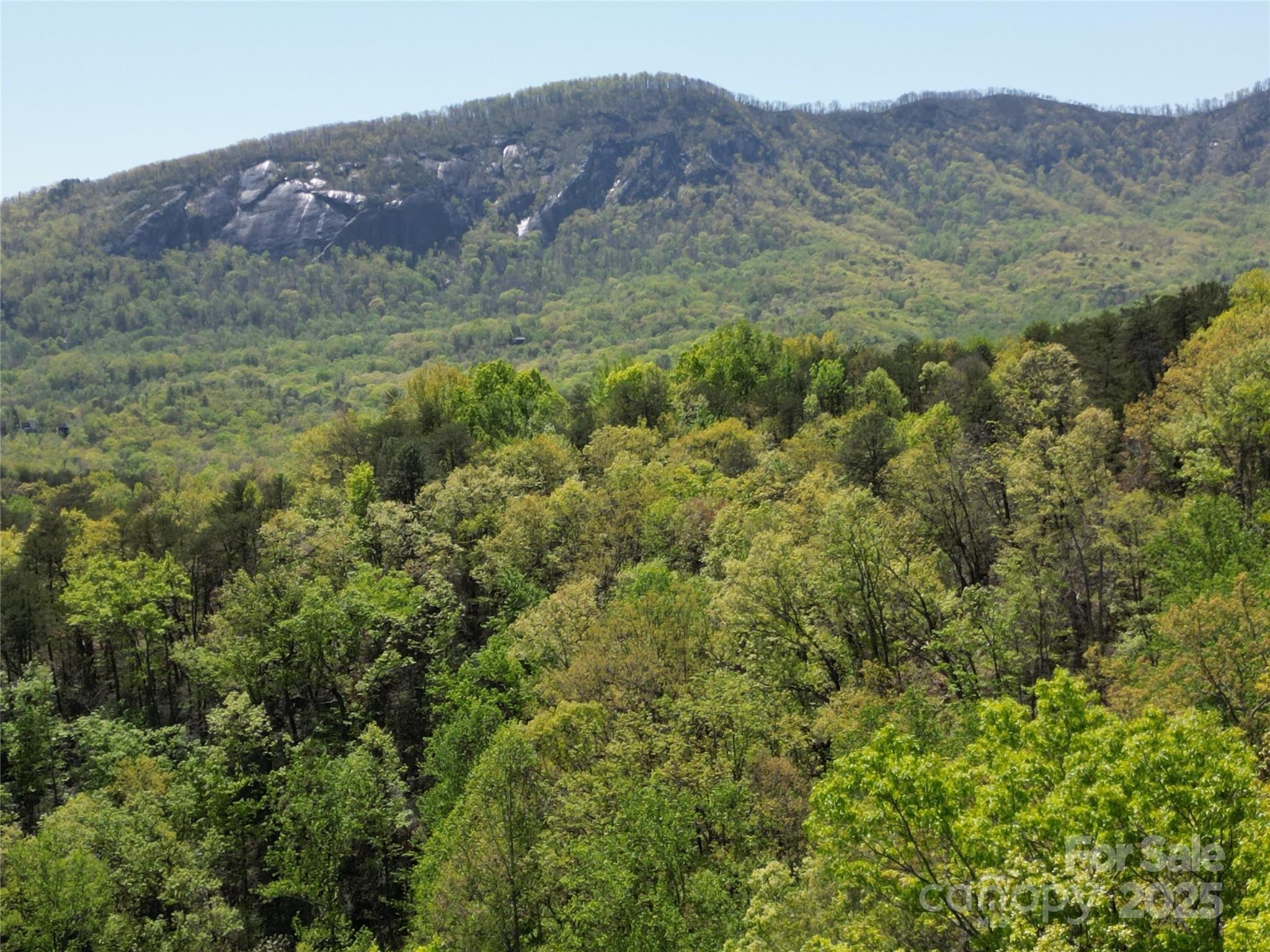 Lot 114 Summit Court