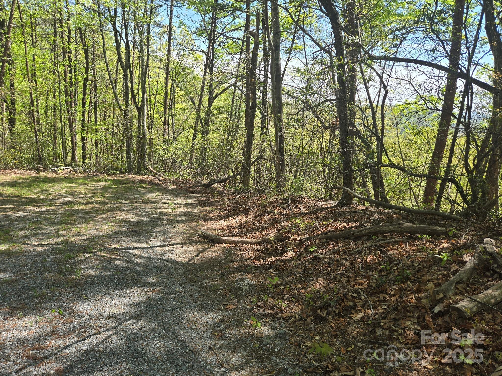 Rumbling Bald on Lake Lure - Land