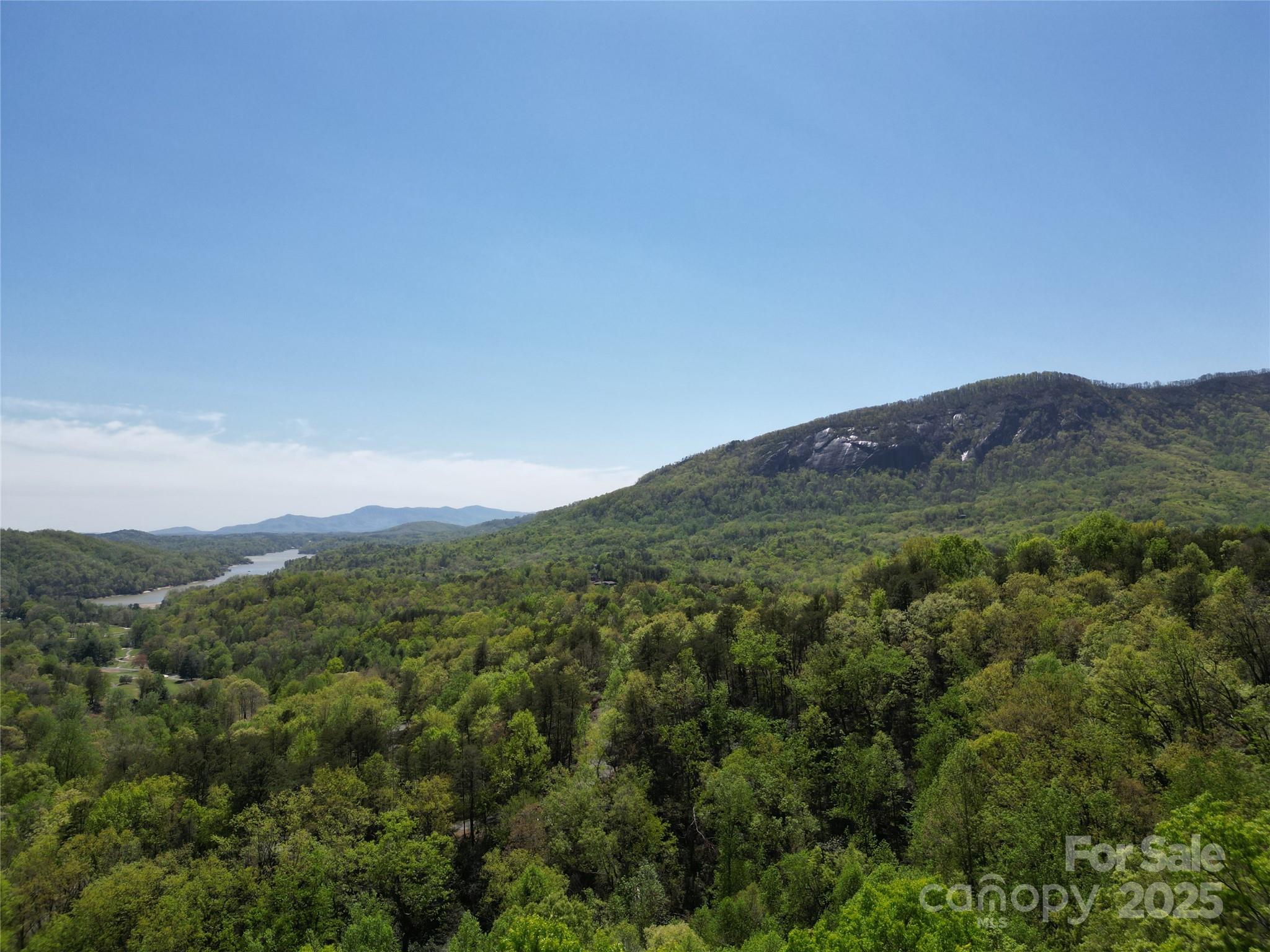 Rumbling Bald on Lake Lure - Land