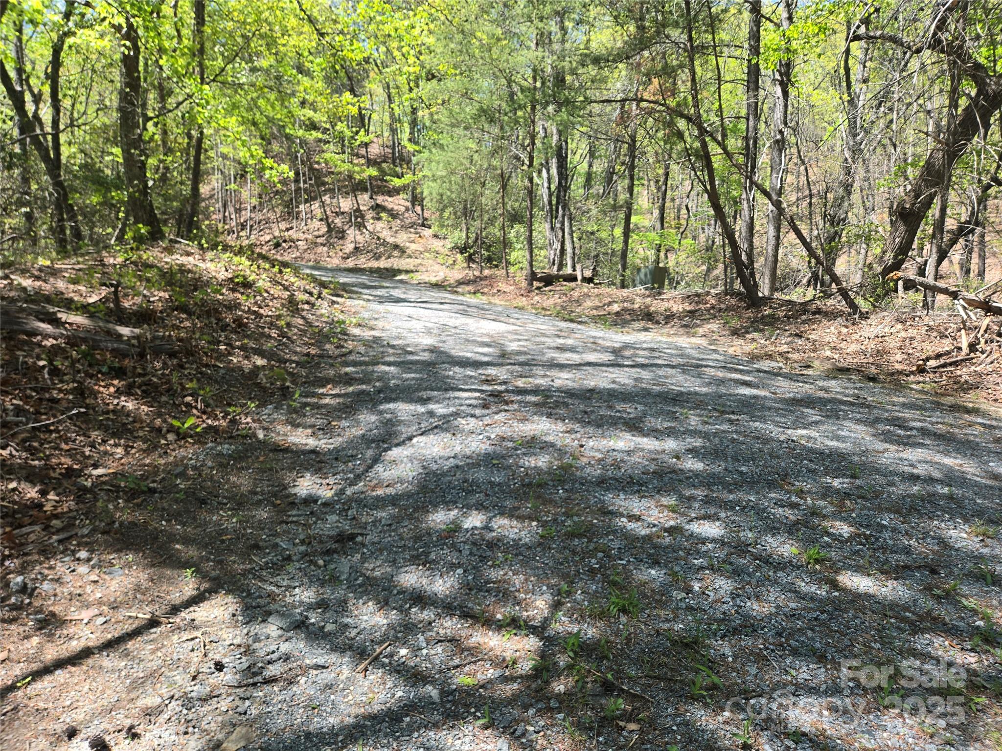 Rumbling Bald on Lake Lure - Land