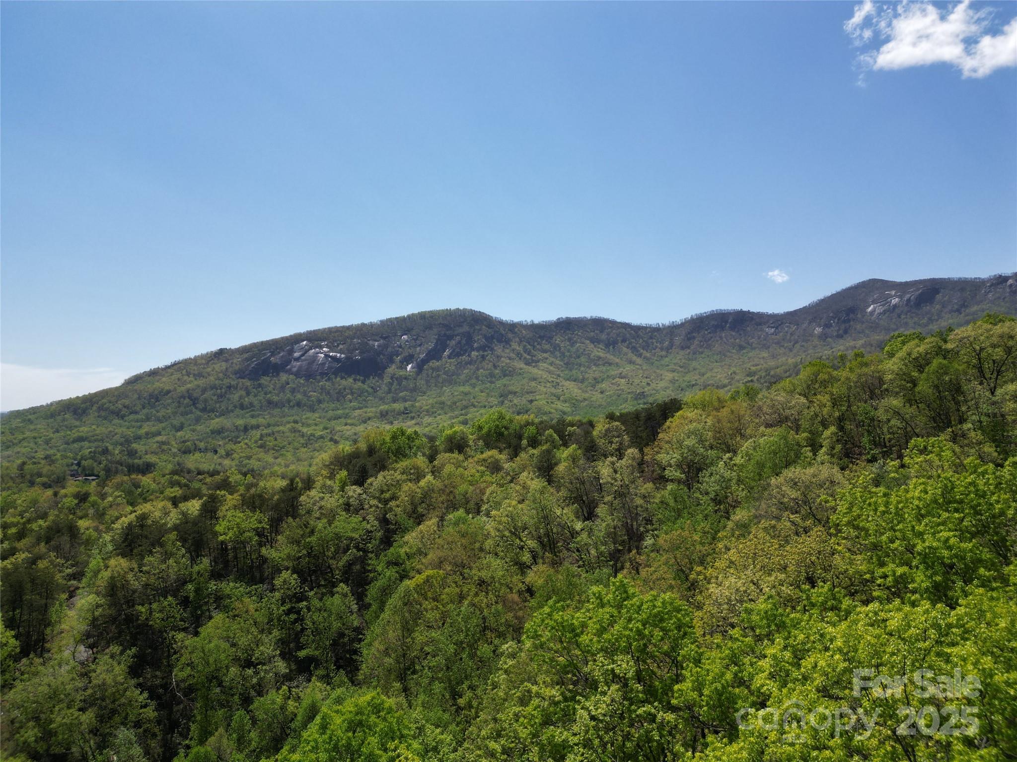 Rumbling Bald on Lake Lure - Land