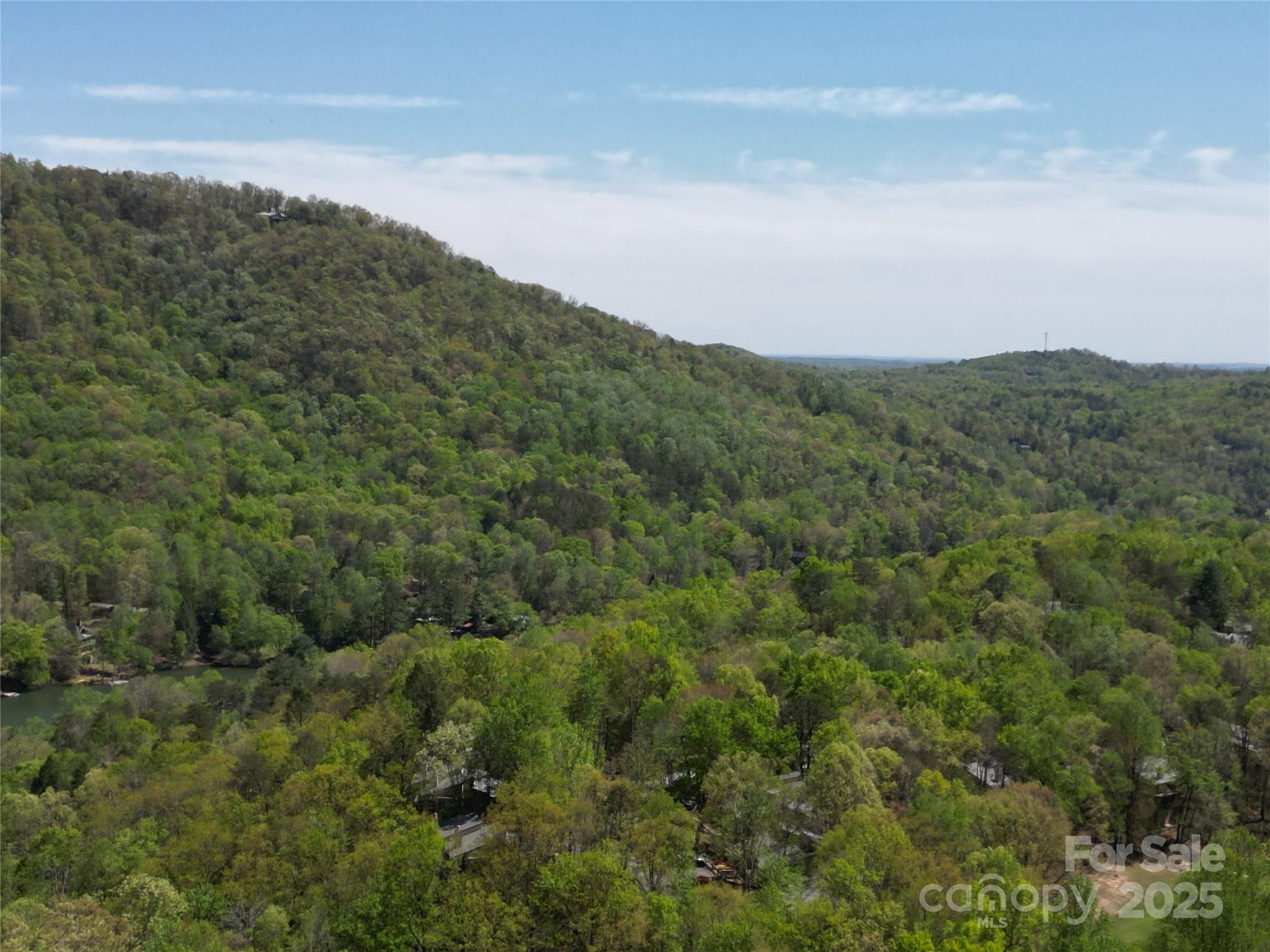 Rumbling Bald on Lake Lure - Land