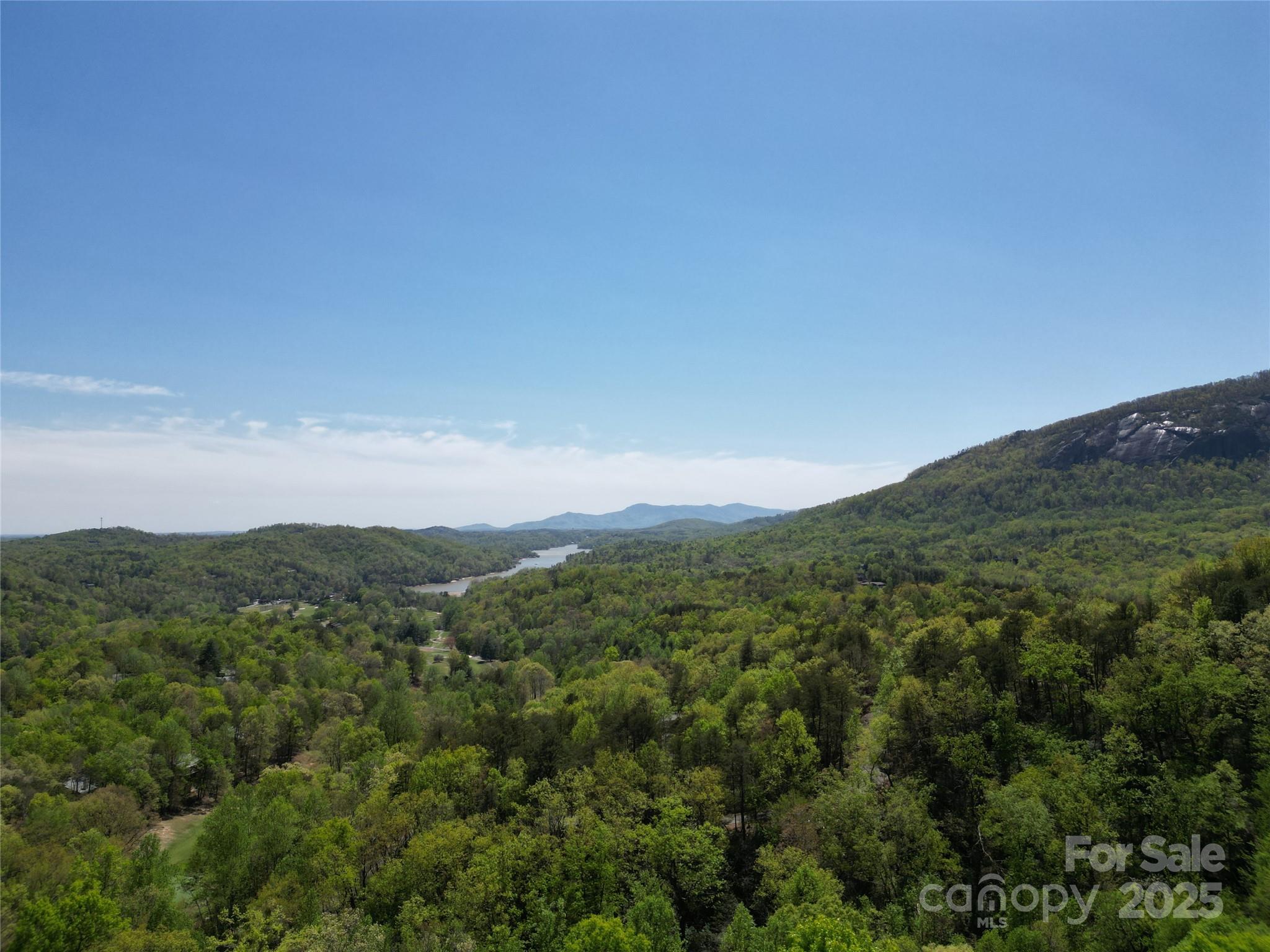 Rumbling Bald on Lake Lure - Land