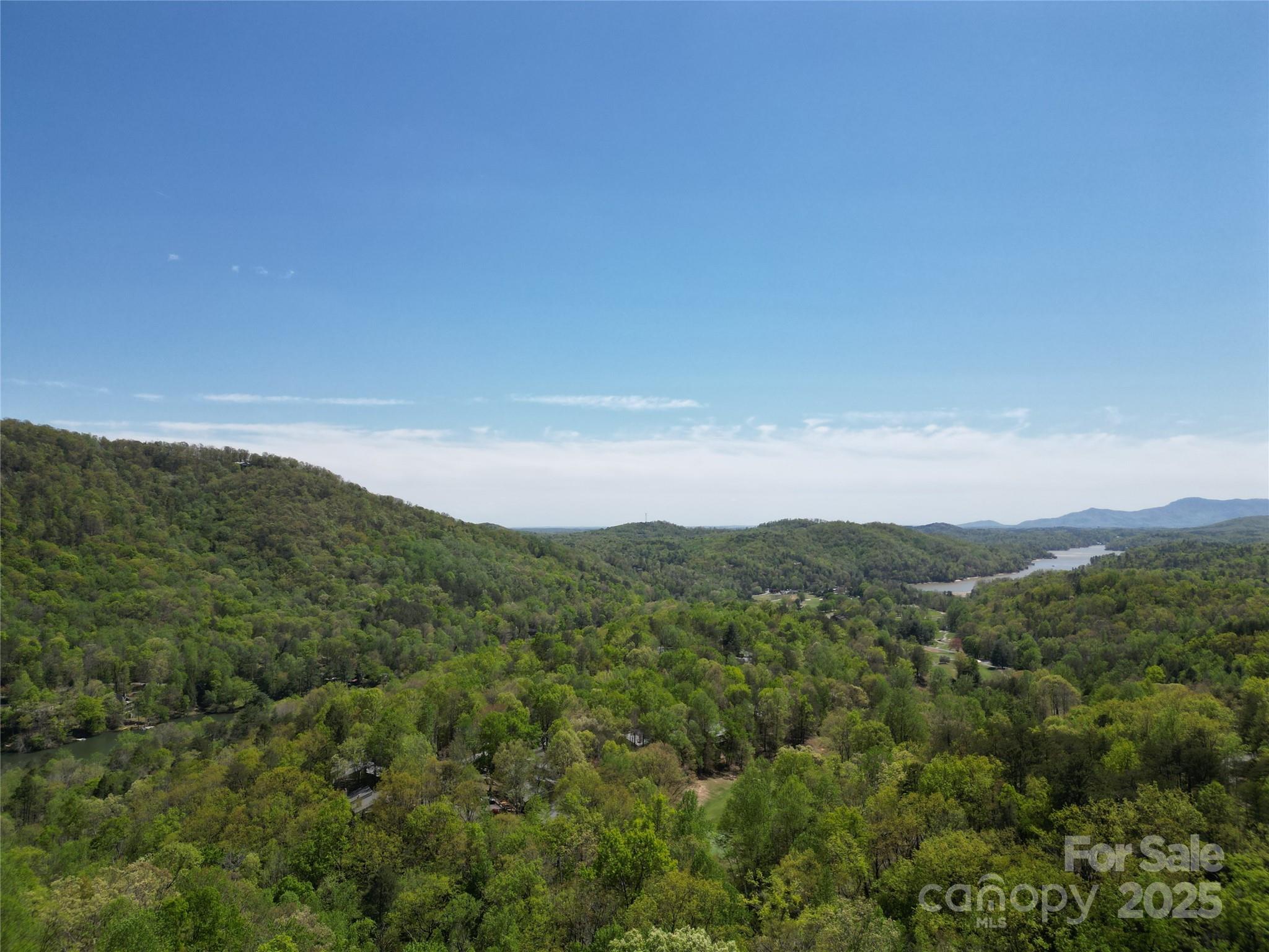 Rumbling Bald on Lake Lure - Land