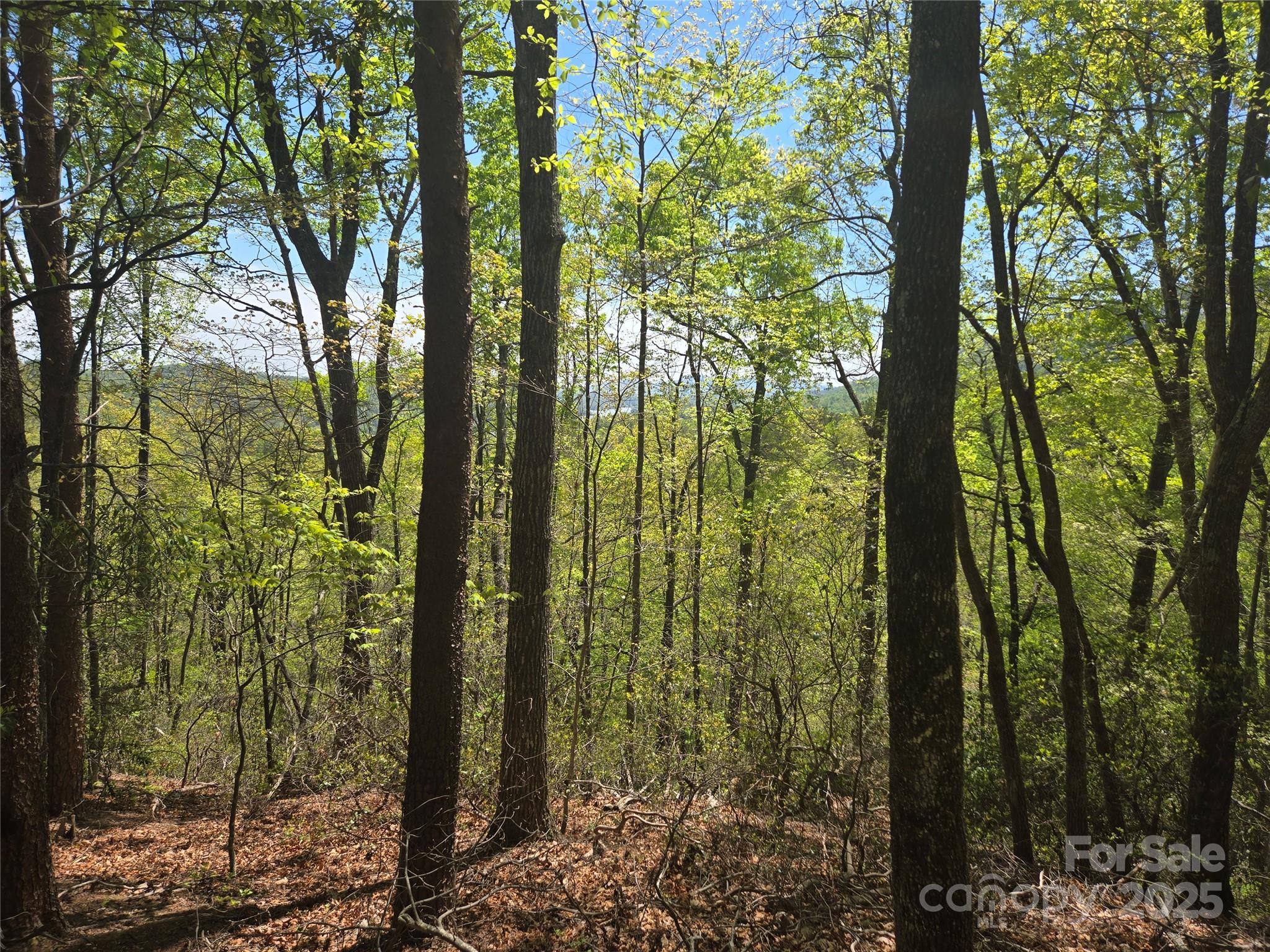 Lot 114 Summit Court