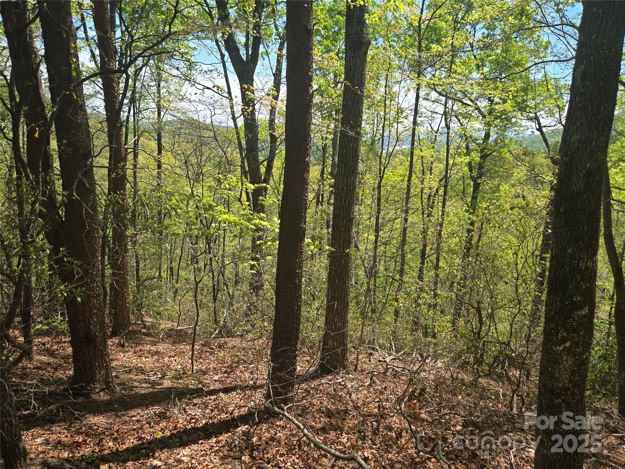 Lot 114 Summit Court