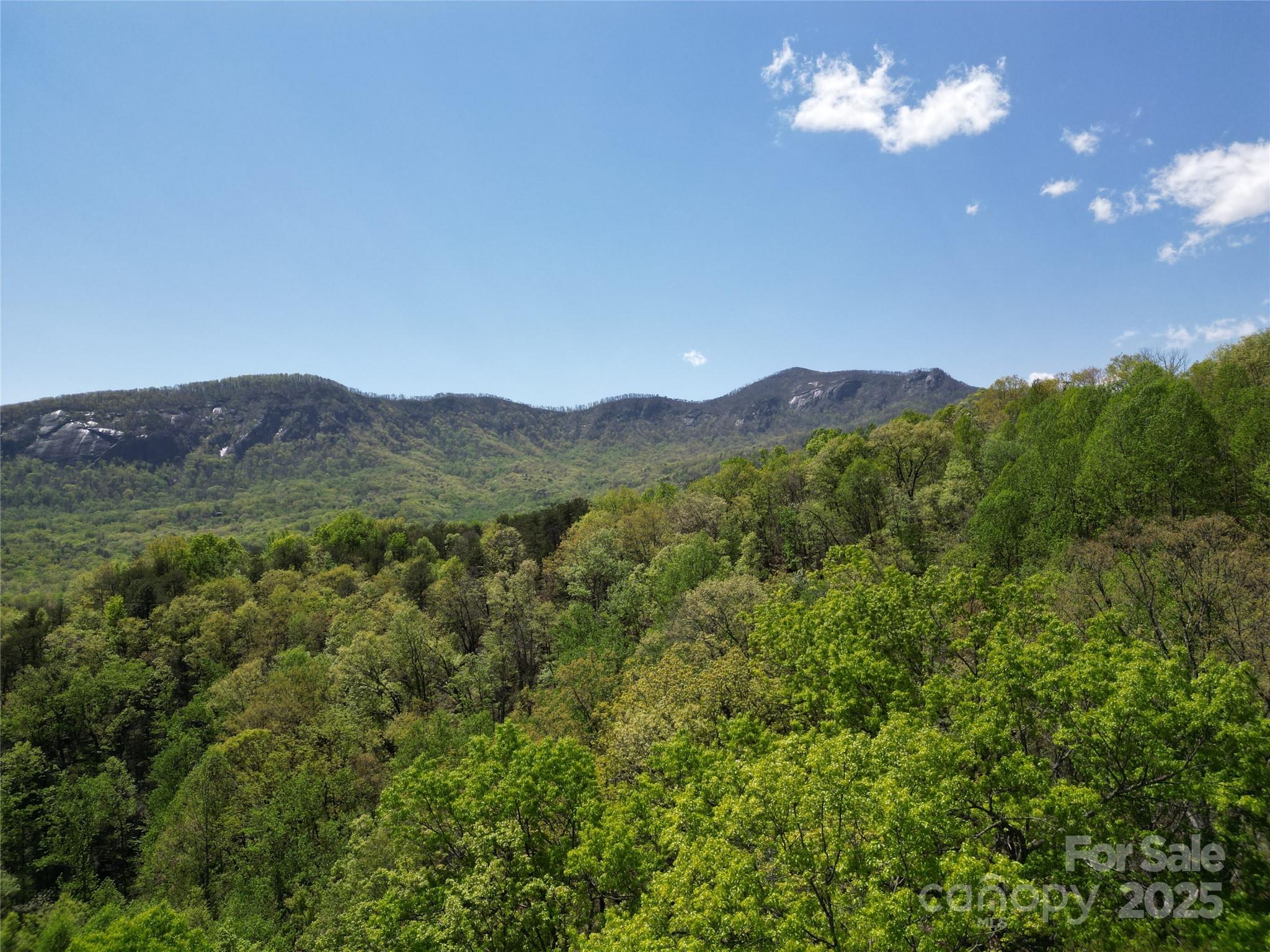 Lot 114 Summit Court