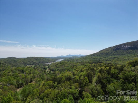 LOT 114 SUMMIT COURT, LAKE LURE, NC 28746 - Image ad0bad4591ecf1aade3f02c3f0645fd1/4242059643