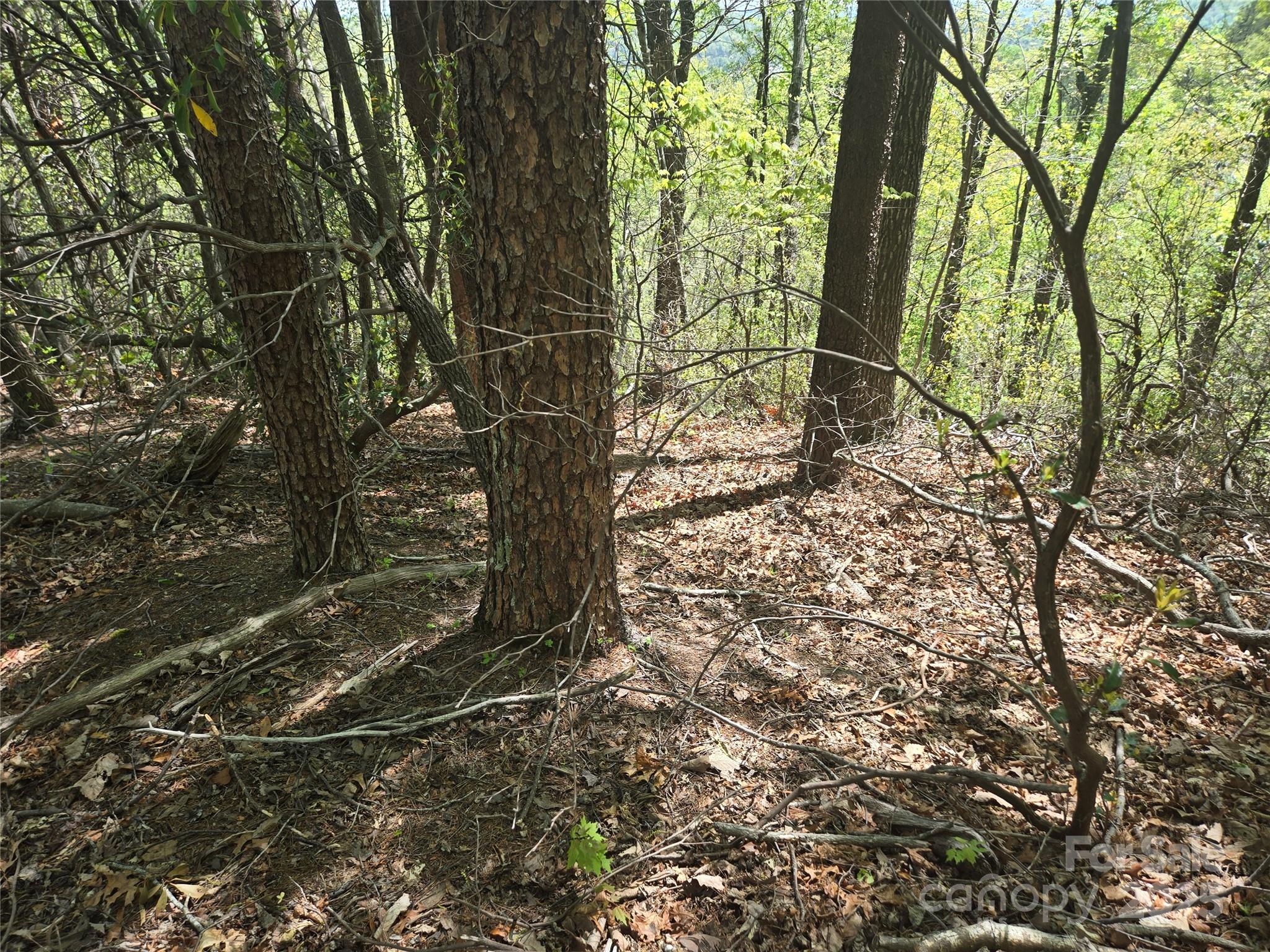 Rumbling Bald on Lake Lure - Land