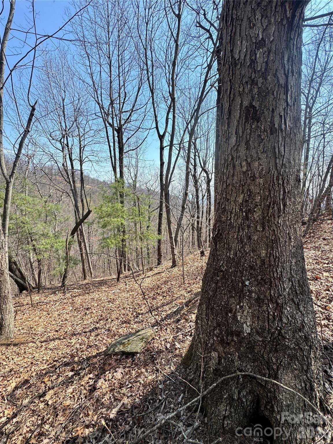 Pinnacle Ridge - Land