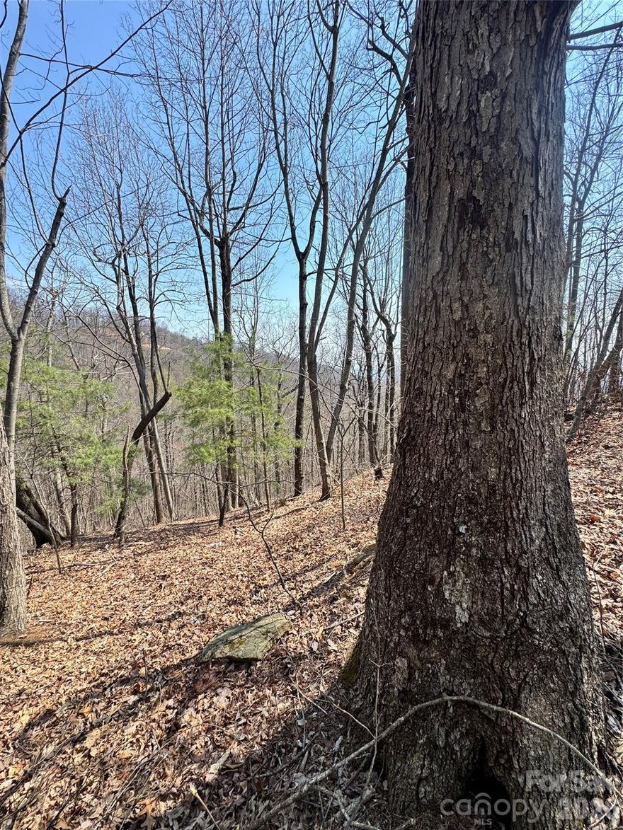 Come build your mountain dream home or cozy cabin atop Pinnacle Mountain! This beautiful lot offers the potential for stunning long-range views and a peaceful setting surrounded by towering hardwoods, rhododendron thickets, and abundant wildlife. Tucked away on a private, gated gravel road, it provides the privacy and serenity you’ve been looking for. Located in the quiet Pinnacle Ridge development, this property is just a short drive to Lake Lure, Rutherfordton, and Asheville. Create your own private mountain retreat in the heart of Western North Carolina.