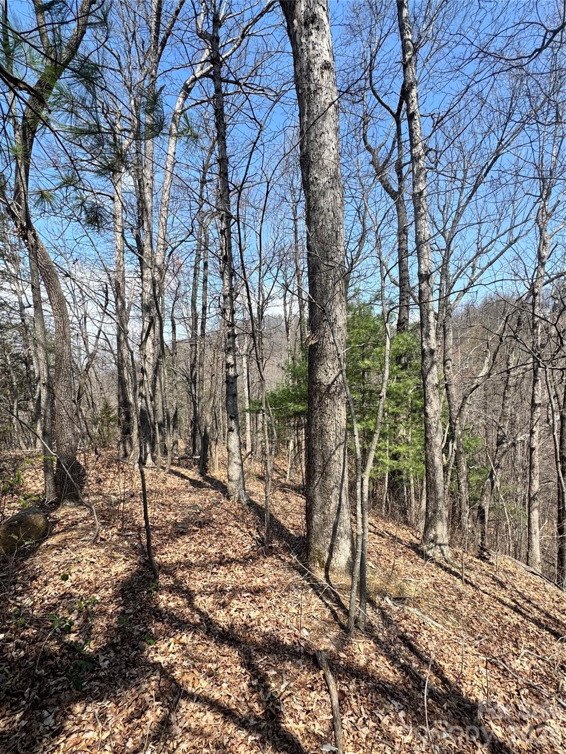 0000 Pinnacle Parkway