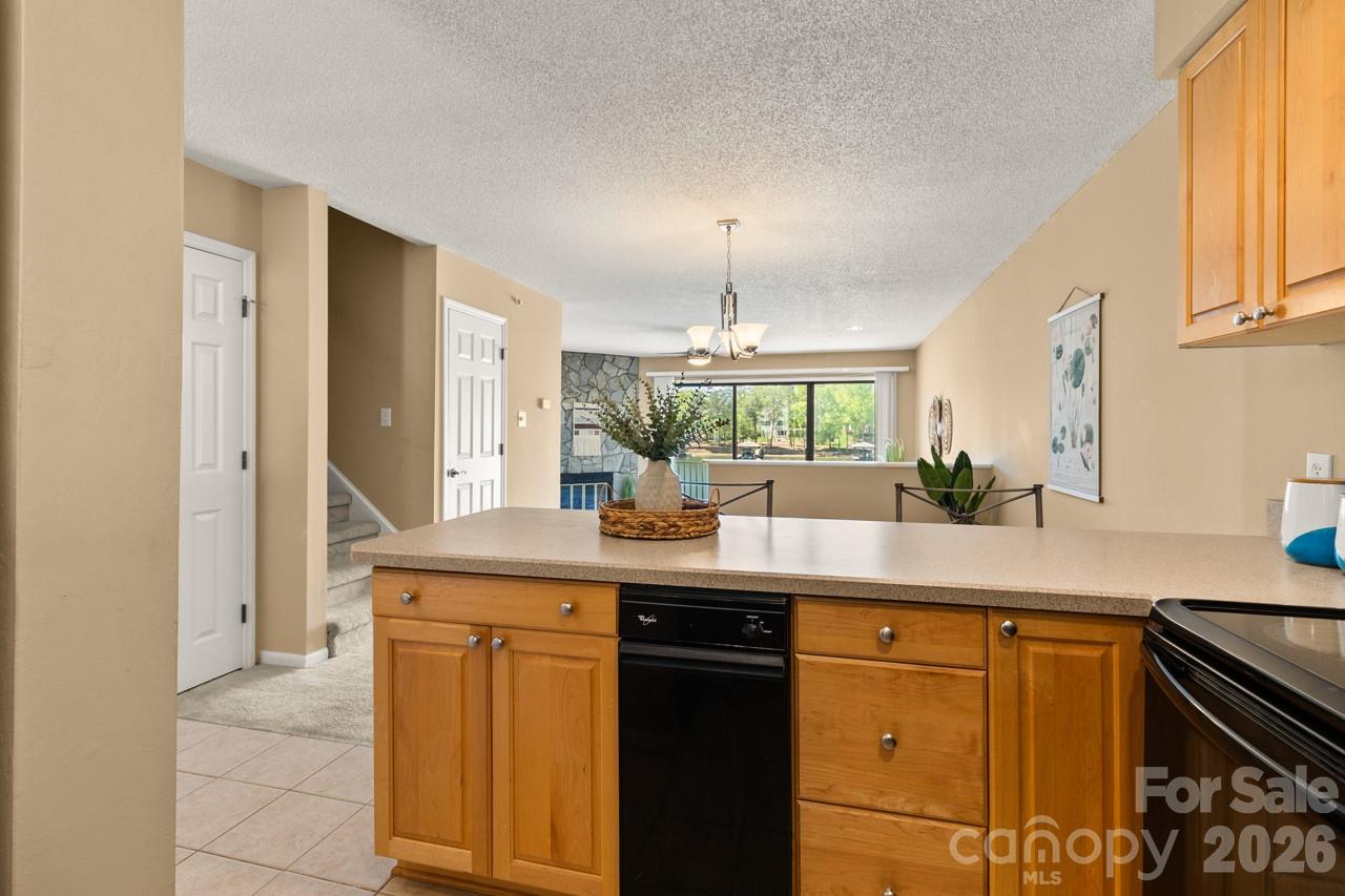 Catspaw - Residential