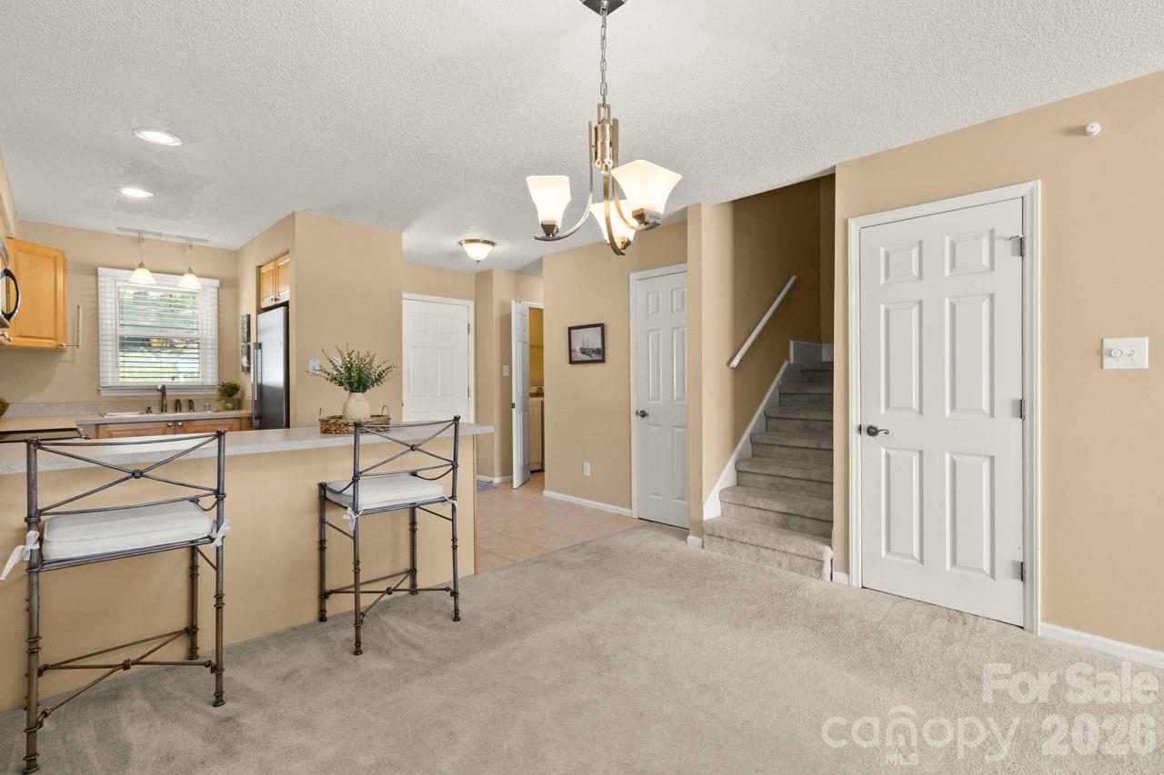 Catspaw - Residential