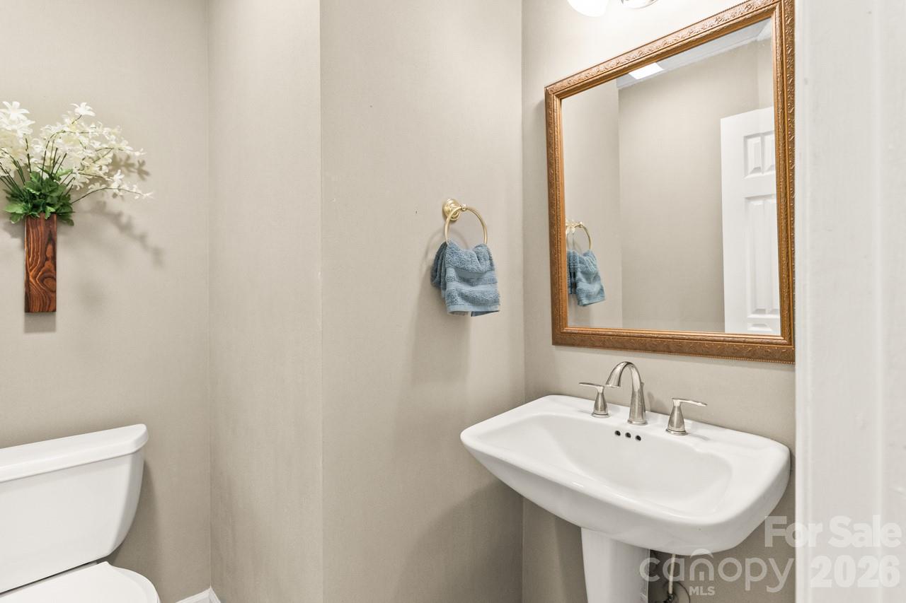 Catspaw - Residential