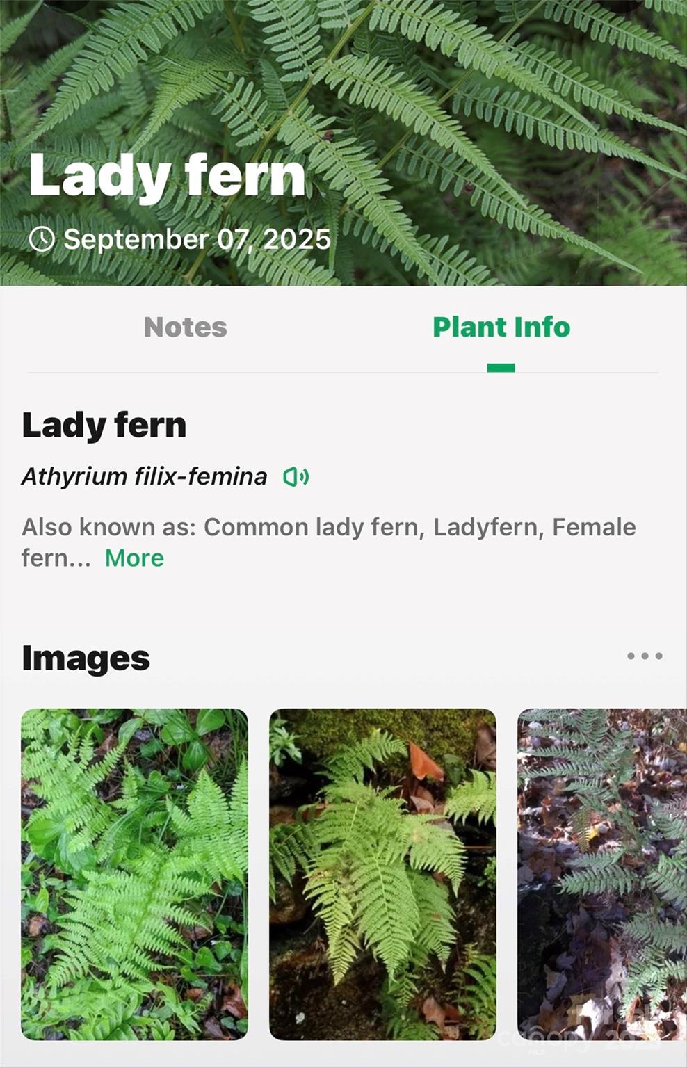 Catawba Falls Preserve - Land