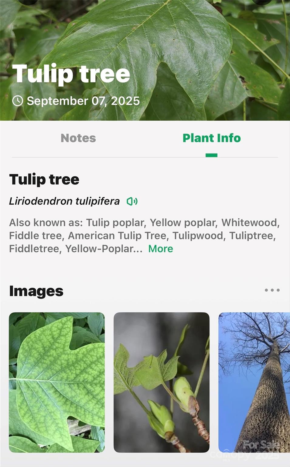 Catawba Falls Preserve - Land