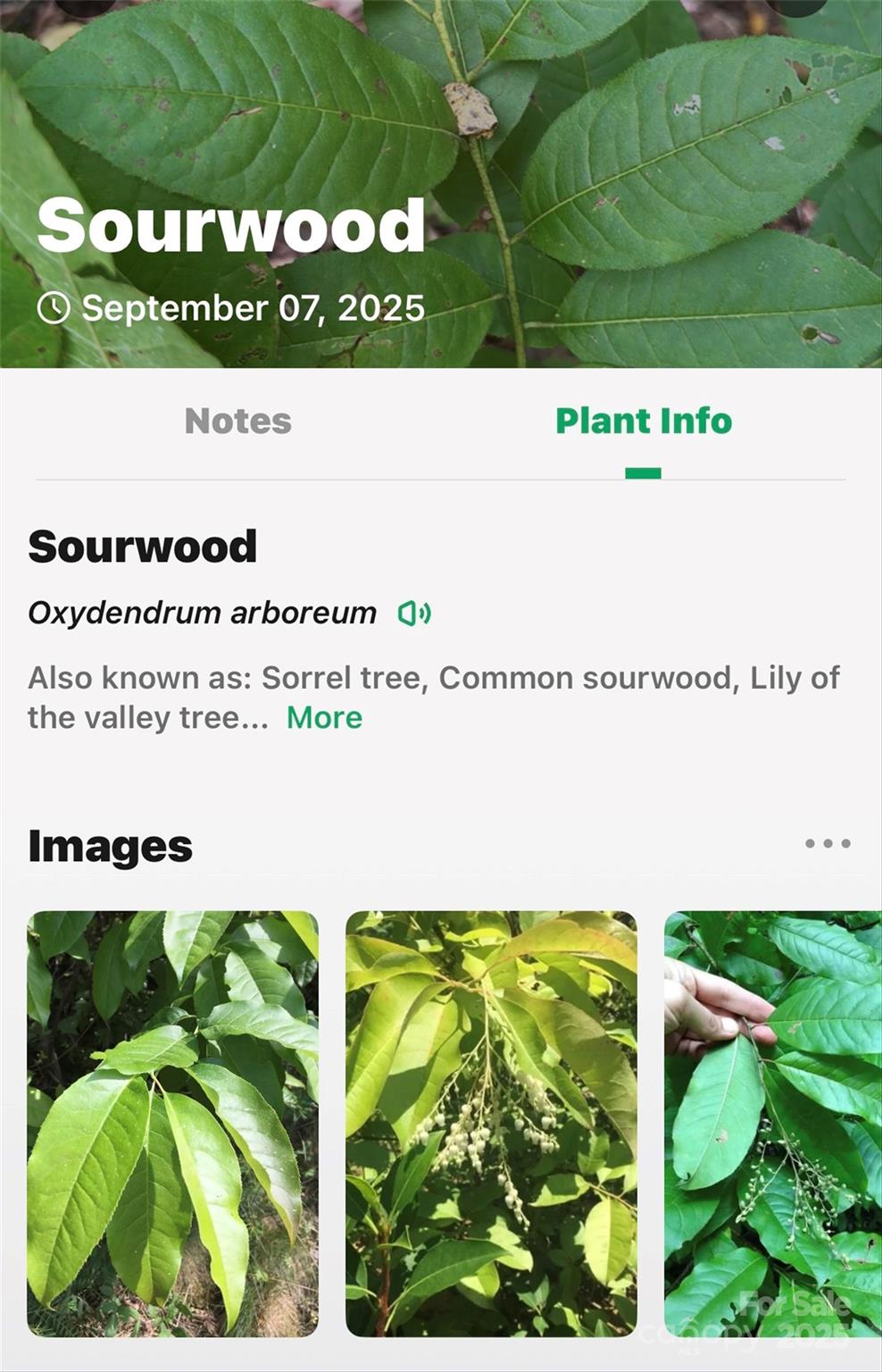 Catawba Falls Preserve - Land