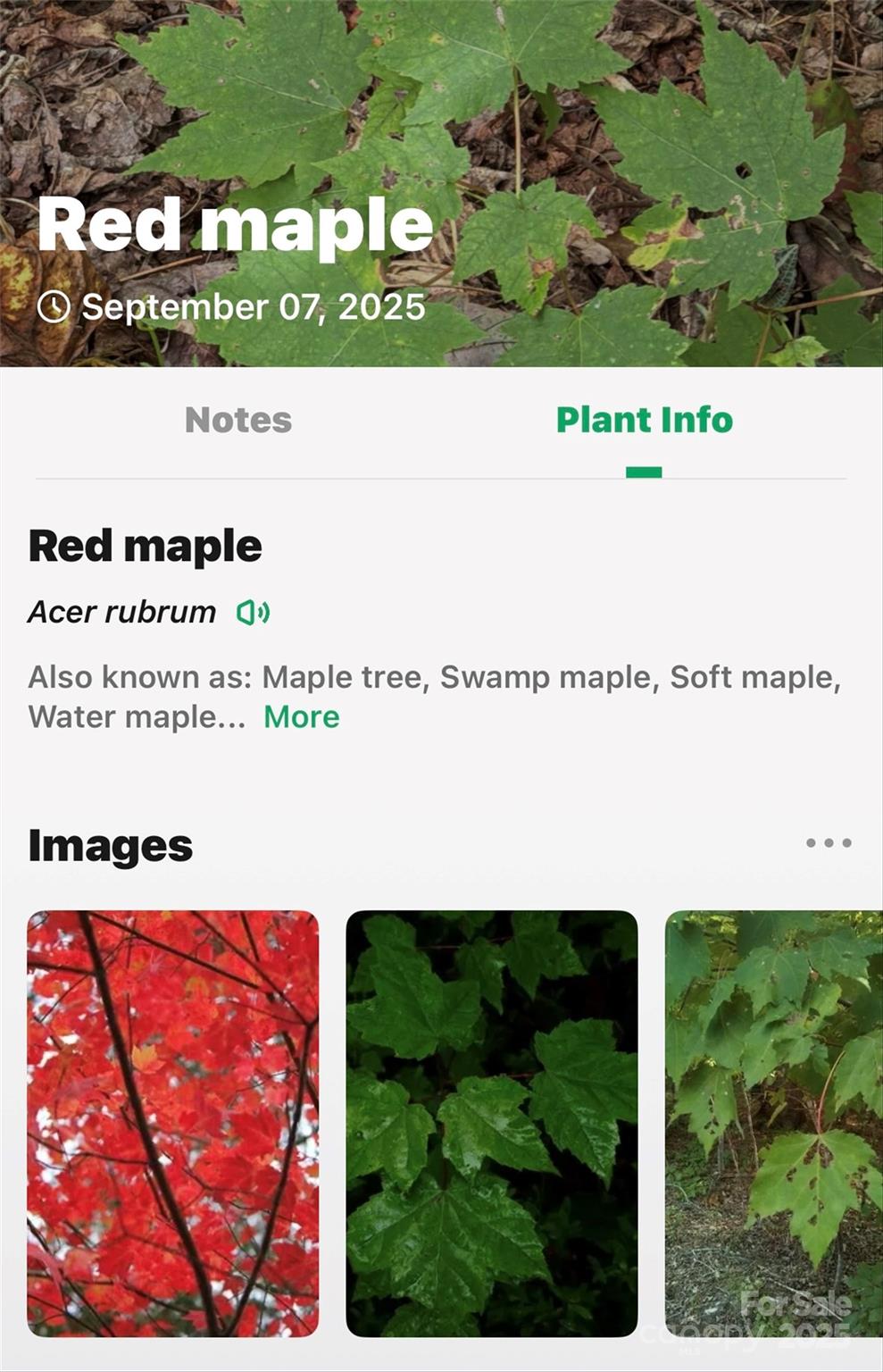 Catawba Falls Preserve - Land