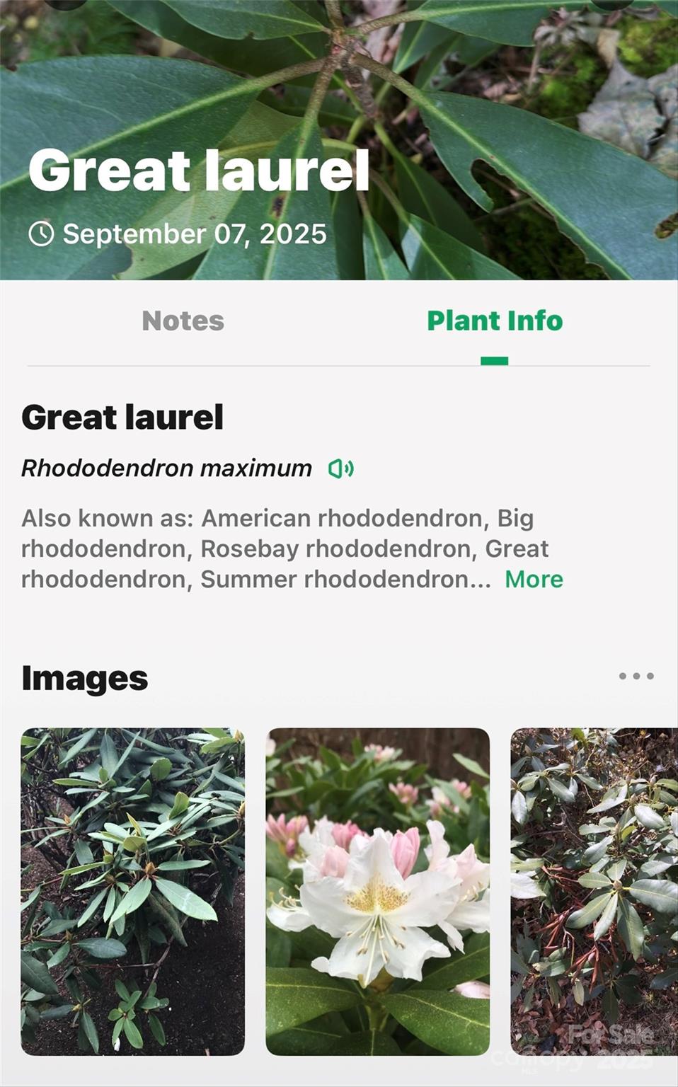 Catawba Falls Preserve - Land