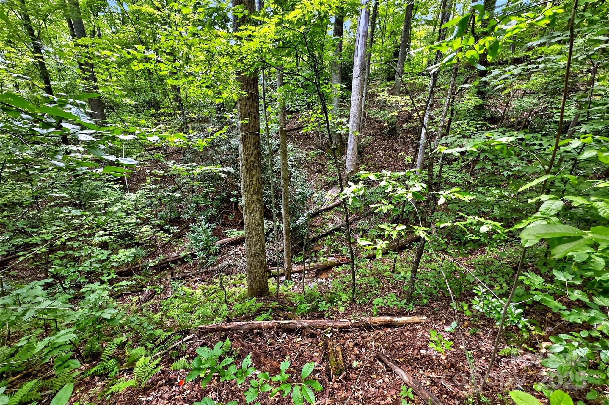 Catawba Falls Preserve - Land