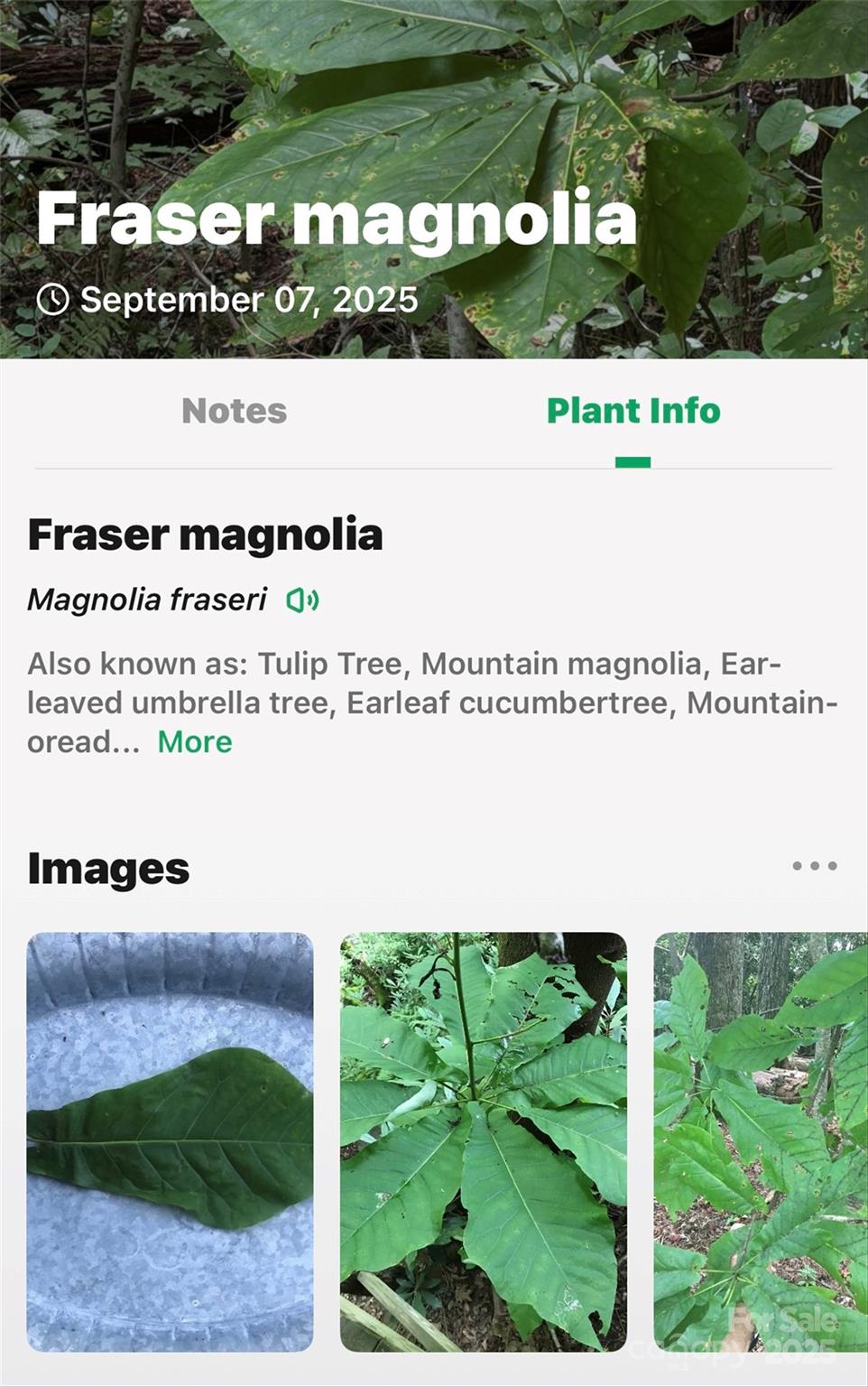 Catawba Falls Preserve - Land