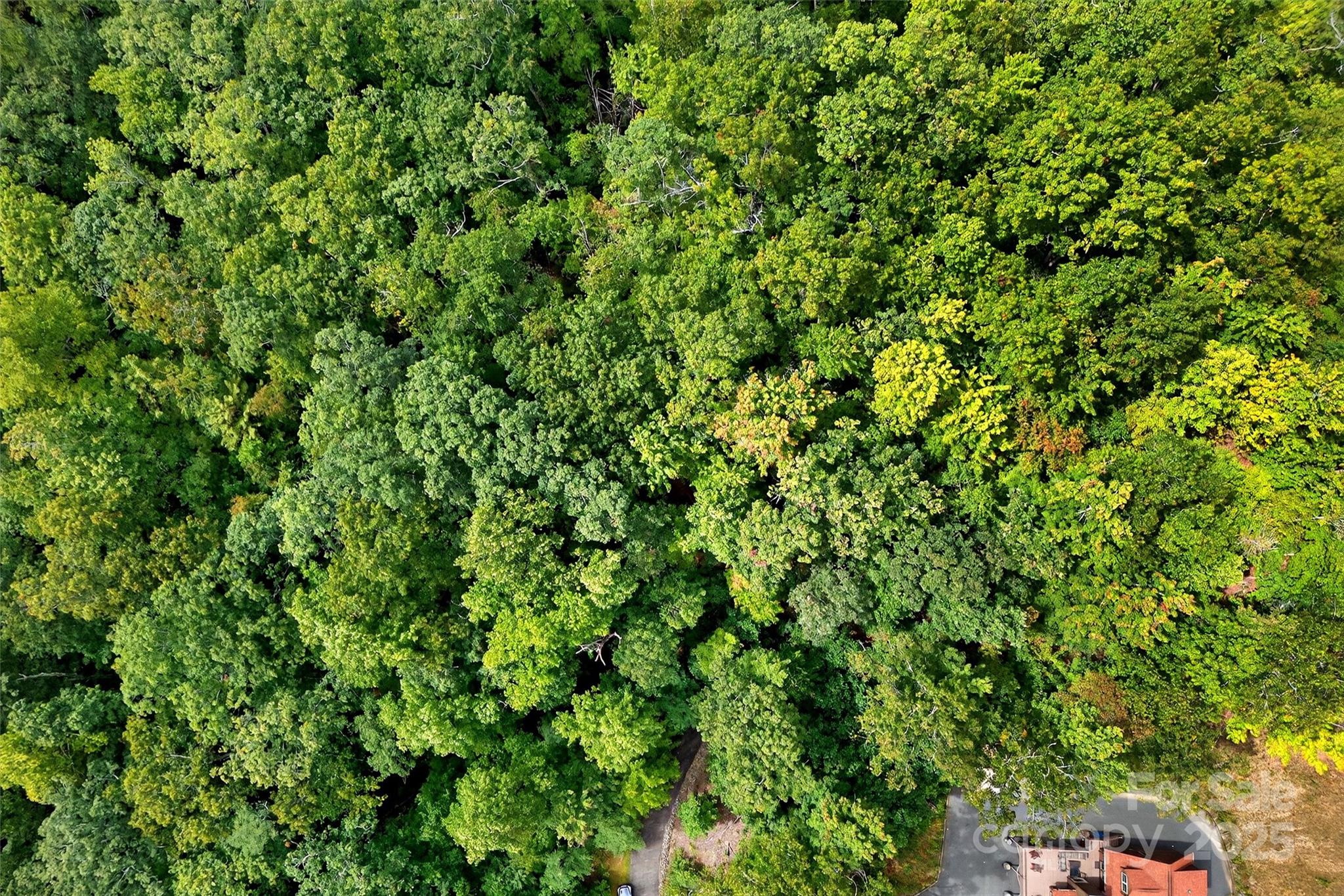 Catawba Falls Preserve - Land
