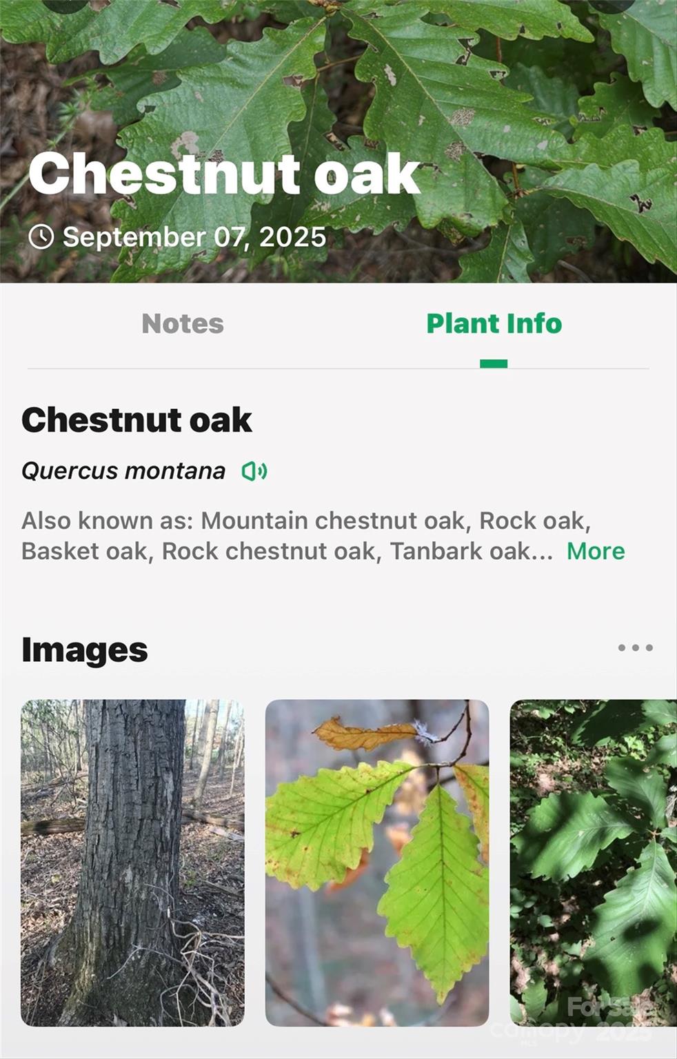 Catawba Falls Preserve - Land