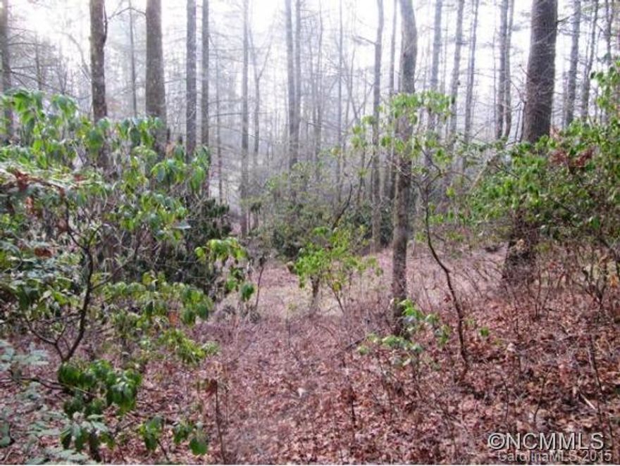 Very nice level building lot in Sugar Creek.  Adjacent to a flowing stream. Minutes to the DuPont State Forest with it's beautiful waterfalls, and hiking and mountain biking trails. A truly spectacular part of the country. Very quiet, private location.