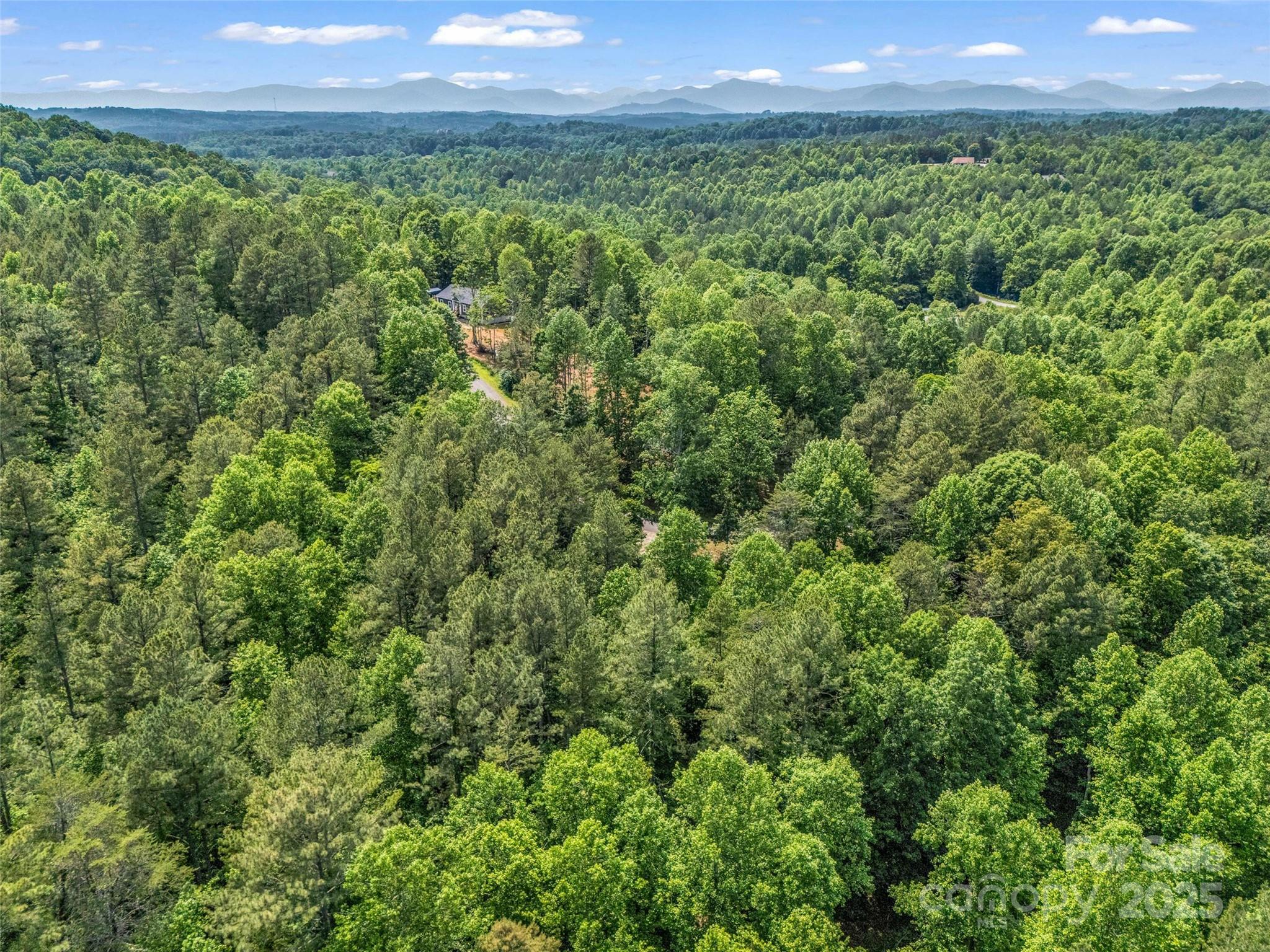 Clearwater Creek - Land