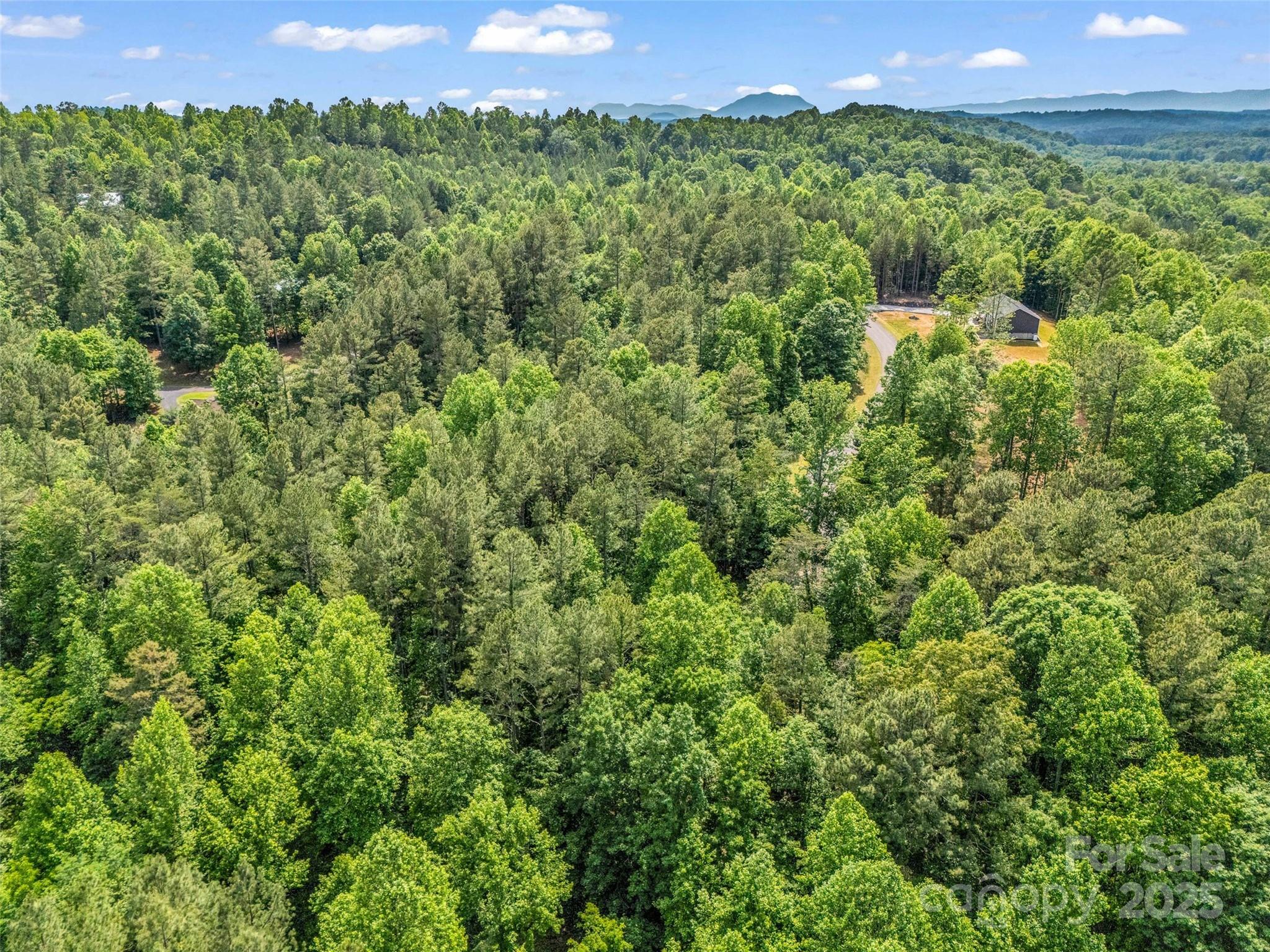 Clearwater Creek - Land