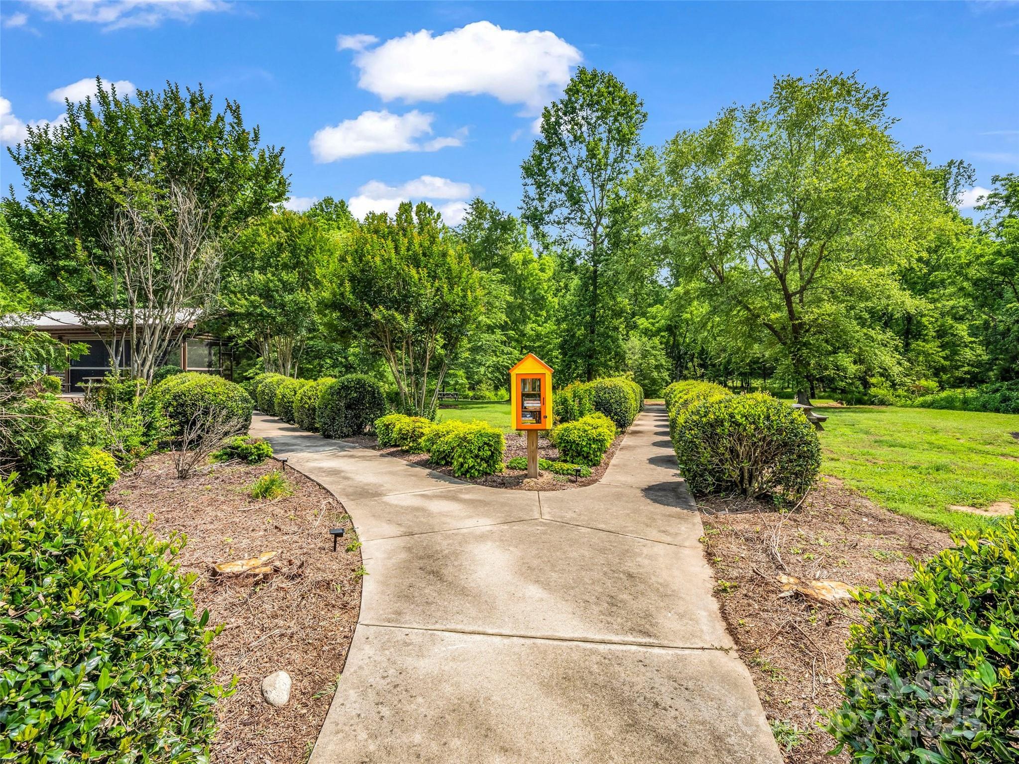 Clearwater Creek - Land